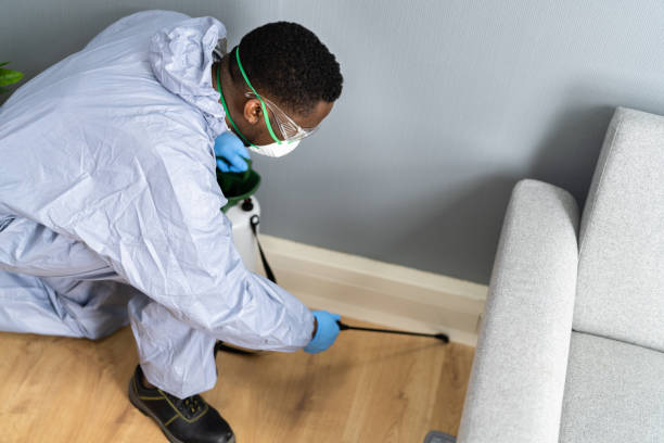 Best Residential Pest Control  in St Louis, MO